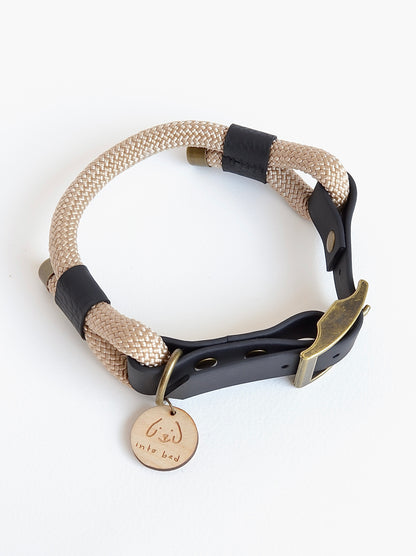 Champagne Dog Collar